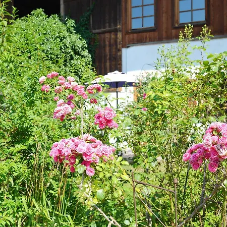 Moederlhof Apartment