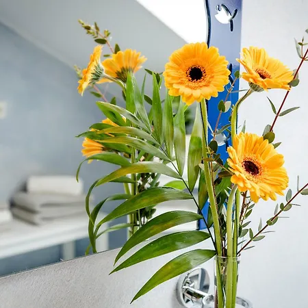 Moederlhof Apartman